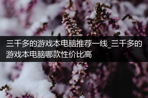三千多的游戏本电脑推荐一线_三千多的游戏本电脑哪款性价比高