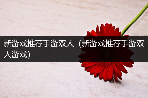 新游戏推荐手游双人（新游戏推荐手游双人游戏）