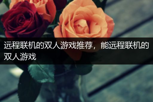 远程联机的双人游戏推荐，能远程联机的双人游戏
