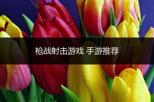 枪战射击游戏 手游推荐