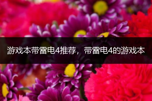 游戏本带雷电4推荐，带雷电4的游戏本