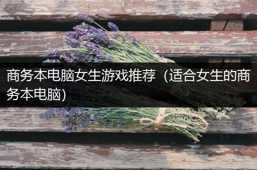 商务本电脑女生游戏推荐（适合女生的商务本电脑）