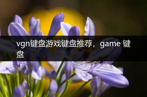 vgn键盘游戏键盘推荐，game 键盘