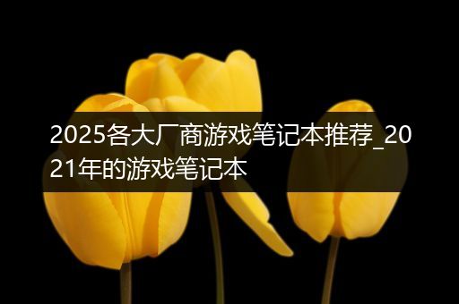2025各大厂商游戏笔记本推荐_2021年的游戏笔记本