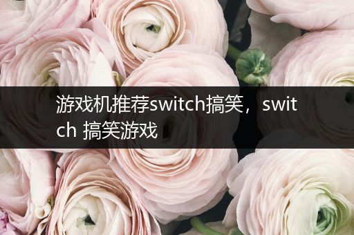 游戏机推荐switch搞笑，switch 搞笑游戏