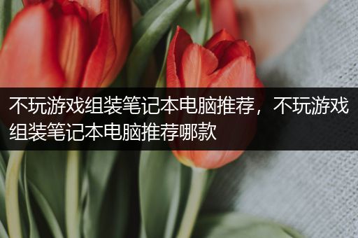 不玩游戏组装笔记本电脑推荐，不玩游戏组装笔记本电脑推荐哪款