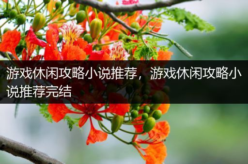 游戏休闲攻略小说推荐，游戏休闲攻略小说推荐完结