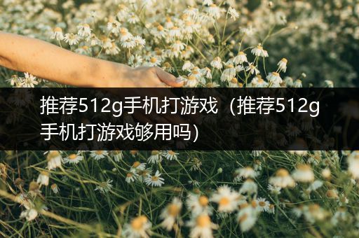 推荐512g手机打游戏（推荐512g手机打游戏够用吗）