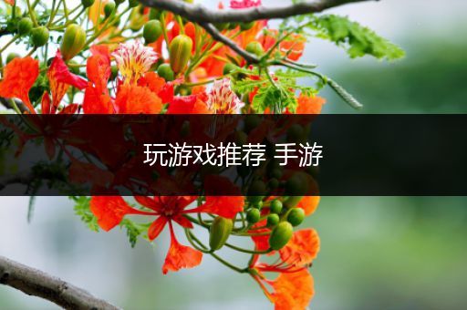 玩游戏推荐 手游
