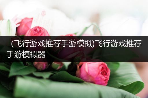 （飞行游戏推荐手游模拟)飞行游戏推荐手游模拟器
