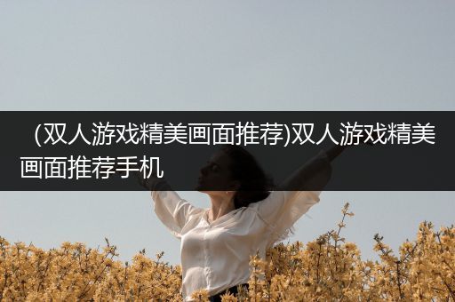 （双人游戏精美画面推荐)双人游戏精美画面推荐手机