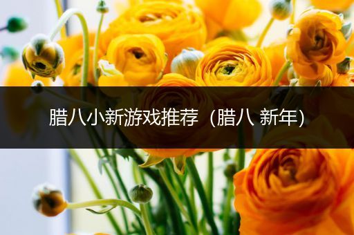 腊八小新游戏推荐（腊八 新年）