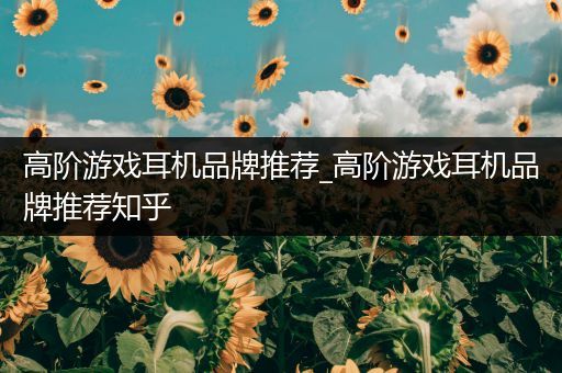 高阶游戏耳机品牌推荐_高阶游戏耳机品牌推荐知乎