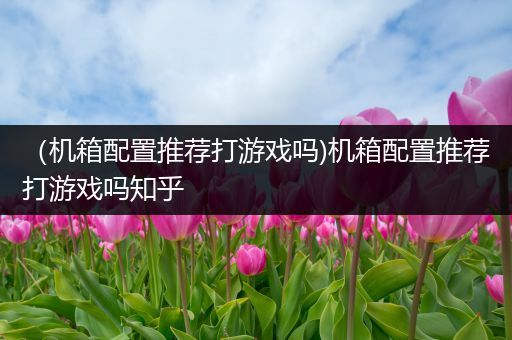 （机箱配置推荐打游戏吗)机箱配置推荐打游戏吗知乎