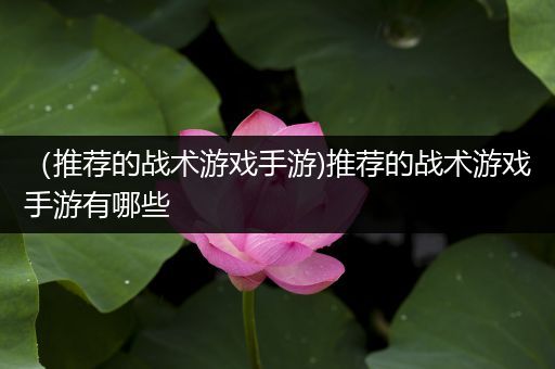 （推荐的战术游戏手游)推荐的战术游戏手游有哪些