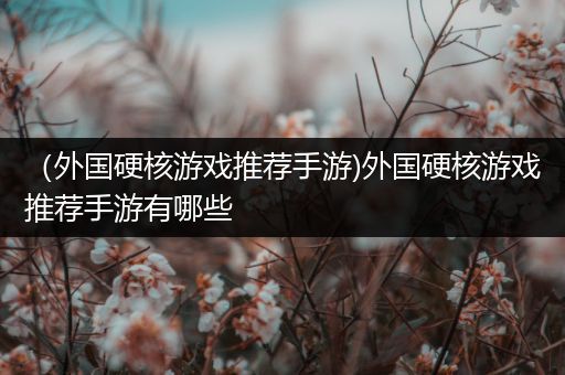 （外国硬核游戏推荐手游)外国硬核游戏推荐手游有哪些