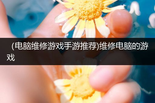 （电脑维修游戏手游推荐)维修电脑的游戏
