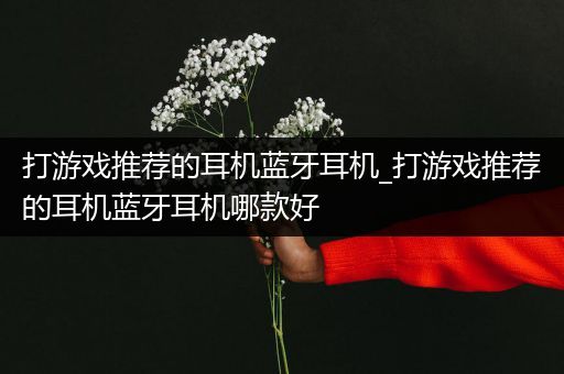 打游戏推荐的耳机蓝牙耳机_打游戏推荐的耳机蓝牙耳机哪款好