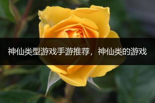 神仙类型游戏手游推荐，神仙类的游戏