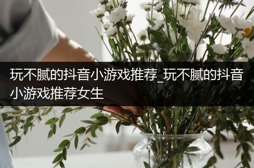玩不腻的抖音小游戏推荐_玩不腻的抖音小游戏推荐女生