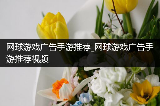 网球游戏广告手游推荐_网球游戏广告手游推荐视频