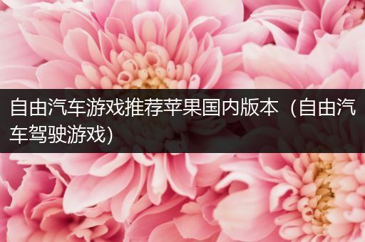 自由汽车游戏推荐苹果国内版本（自由汽车驾驶游戏）