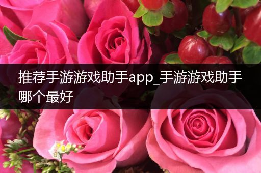 推荐手游游戏助手app_手游游戏助手哪个最好