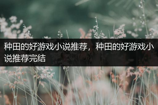 种田的好游戏小说推荐，种田的好游戏小说推荐完结