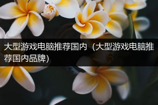 大型游戏电脑推荐国内（大型游戏电脑推荐国内品牌）
