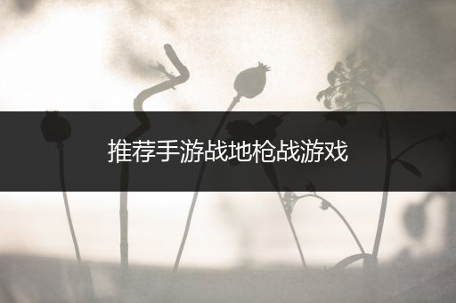 推荐手游战地枪战游戏