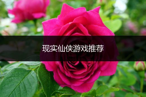 现实仙侠游戏推荐