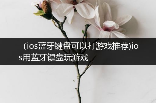 （ios蓝牙键盘可以打游戏推荐)ios用蓝牙键盘玩游戏