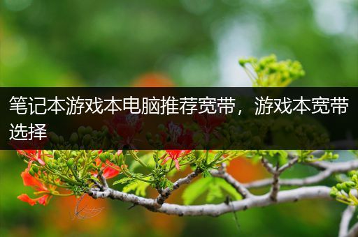 笔记本游戏本电脑推荐宽带，游戏本宽带选择