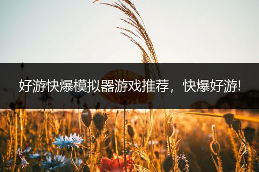 好游快爆模拟器游戏推荐，快爆好游!
