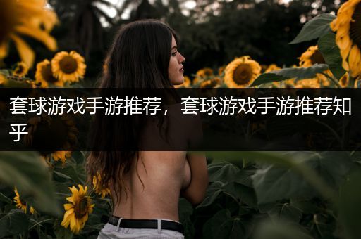 套球游戏手游推荐，套球游戏手游推荐知乎