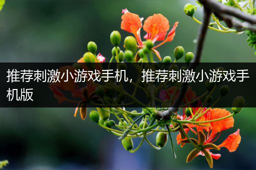 推荐刺激小游戏手机，推荐刺激小游戏手机版