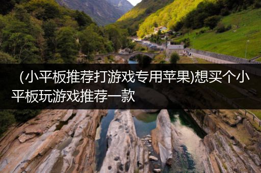 （小平板推荐打游戏专用苹果)想买个小平板玩游戏推荐一款