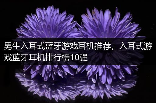男生入耳式蓝牙游戏耳机推荐，入耳式游戏蓝牙耳机排行榜10强