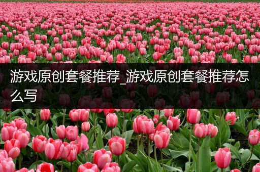 游戏原创套餐推荐_游戏原创套餐推荐怎么写