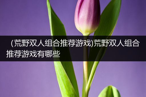 （荒野双人组合推荐游戏)荒野双人组合推荐游戏有哪些