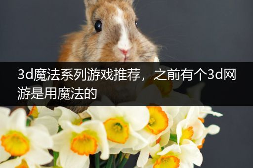 3d魔法系列游戏推荐，之前有个3d网游是用魔法的