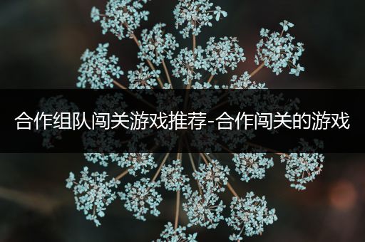 合作组队闯关游戏推荐-合作闯关的游戏