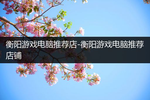 衡阳游戏电脑推荐店-衡阳游戏电脑推荐店铺