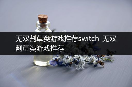 无双割草类游戏推荐switch-无双割草类游戏推荐