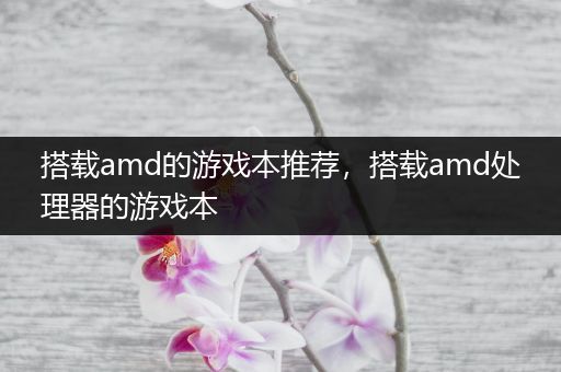 搭载amd的游戏本推荐，搭载amd处理器的游戏本