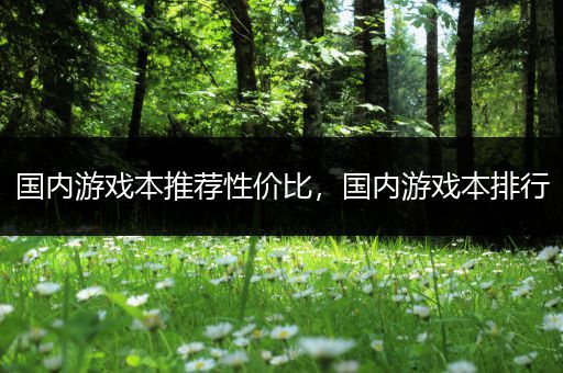 国内游戏本推荐性价比，国内游戏本排行