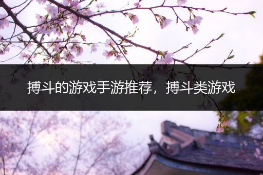 搏斗的游戏手游推荐，搏斗类游戏