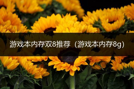 游戏本内存双8推荐（游戏本内存8g）