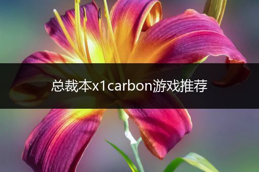 总裁本x1carbon游戏推荐