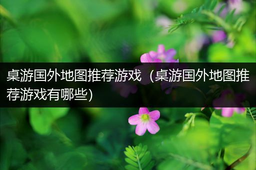 桌游国外地图推荐游戏（桌游国外地图推荐游戏有哪些）